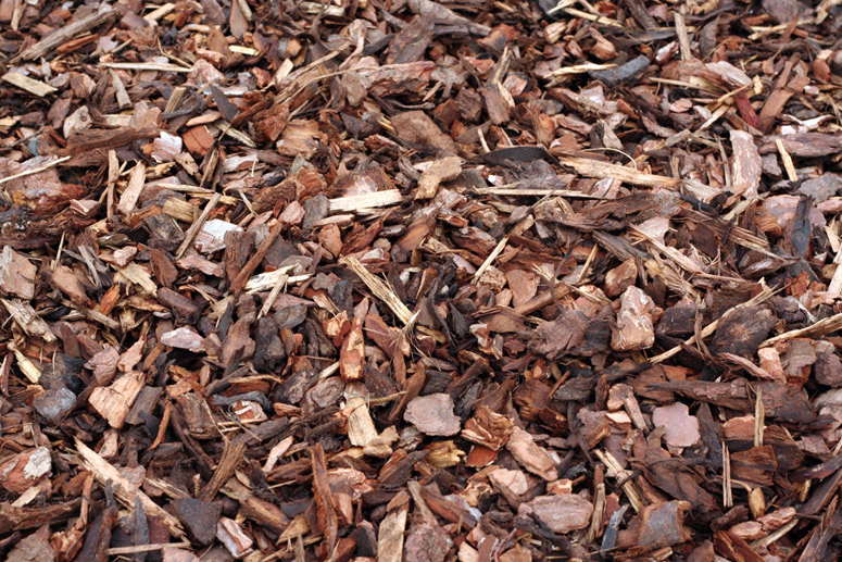 shredded_bark_mulch